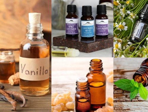best smelling essential oils for diffuser